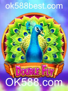 DoubleFly: Um Mergulho Imersivo no Mundo dos Jogos